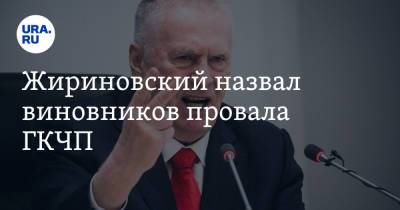 Жириновский назвал виновников провала ГКЧП