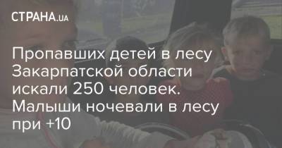 Пропавших детей в лесу Закарпатской области искали 250 человек. Малыши ночевали в лесу при +10