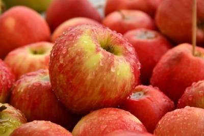 Об оптимальном суточном количестве яблок рассказала диетолог Мойсенко