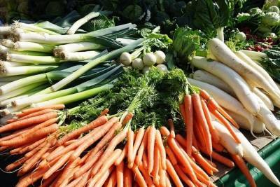Ставрополье направит Москве предложения по сдерживанию цен на овощи