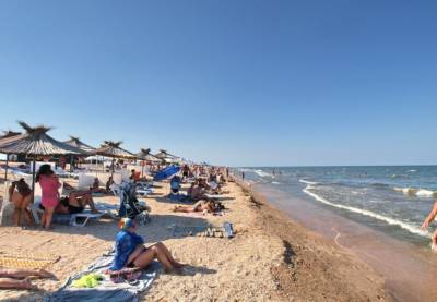 Украинские пляжи "позеленели" и усеяны зловонными созданиями: кадры