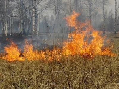 В Ульяновске и трёх районах области спасатели тушили сухую траву