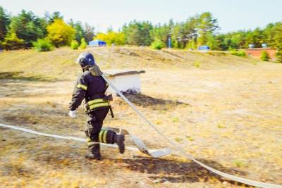 На окраинах Воронежа вспыхнули ландшафтные пожары