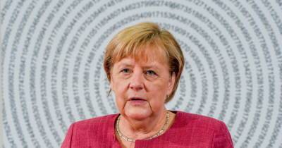Орден для Меркель: Зеленский вручит канцлеру Германии высшую украинскую награду