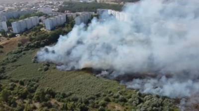 Мощный пожар на болотах в воронежском Шилово сняли с высоты