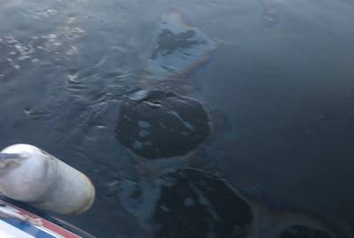 Пятна нефти обнаружены на Оке в районе Мызинского моста
