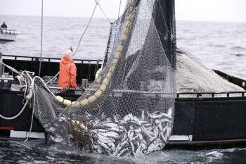 Ловись, рыбка: Китай хочет получить права на бесплатный вылов рыбы