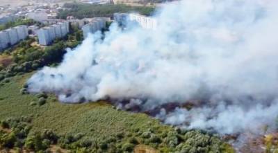 Пожар на шиловских болотах в Воронеже сняли с высоты