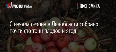 С начала сезона в Ленобласти собрано почти сто тонн плодов и ягод