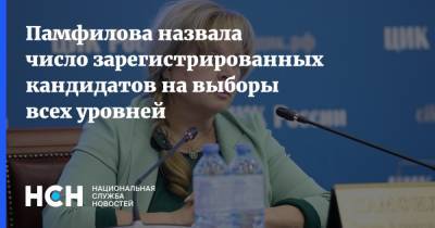 Памфилова назвала число зарегистрированных кандидатов на выборы всех уровней