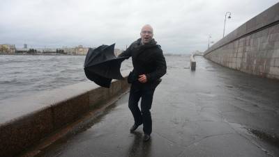 Метеоролог рассказал о вероятности московского урагана в Петербурге