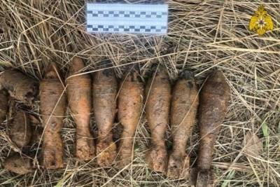 В Тверской области нашли артиллерийские снаряды и гранаты