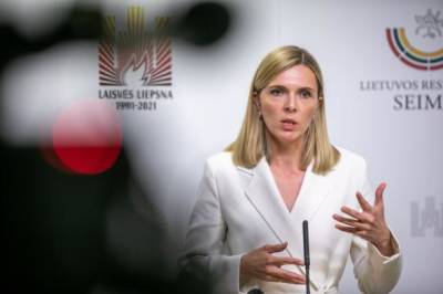 МВД Литвы: говорить о приеме мигрантов из Афганистана было бы сложно
