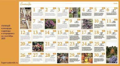 Лунный посевной календарь садовода, цветовода и огородника на сентябрь 2021 года - skuke.net - Виноград