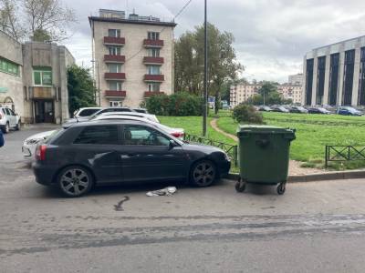 На Московском проспекте в Петербурге мусорный бак разбил припаркованный рядом автомобиль