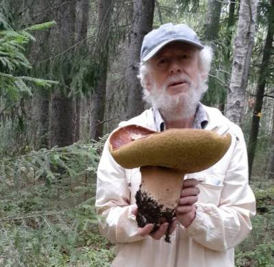 В Выборгском лесу найден «король» белых грибов весом 1,6 кг — фото