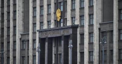 В ГД оценили слова Зеленского о "принятии" украинской власти Крымом