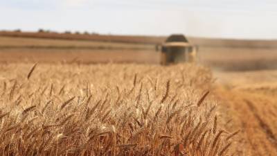 Аграрная отрасль возобновила рост до 2,5% впервые с февраля прошлого года