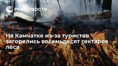 На Камчатке из-за туристов загорелись восемьдесят гектаров леса в районе реки Карымшина