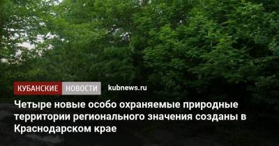 Четыре новые особо охраняемые природные территории регионального значения созданы в Краснодарском крае