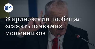 Жириновский пообещал «сажать пачками» мошенников