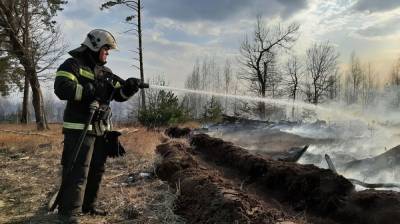 Спасатели потушили пожар на окраине Воронежа