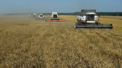 В Крыму собрали 1,5 млн тонн зерна