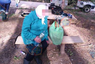 Из леса Гатчинского района вывели пожилую женщину