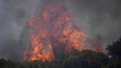 Лесные пожары в Европе не обошлись без жертв