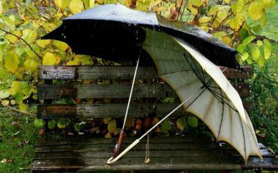 Длинный уик-энд разочарует дождями и осенней прохладой
