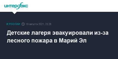 Детские лагеря эвакуировали из-за лесного пожара в Марий Эл