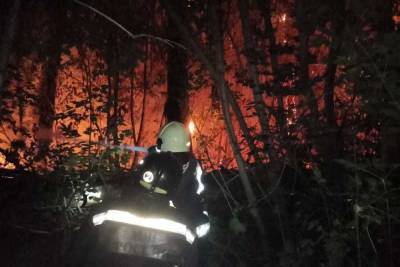 В Оренбурге из-за ландшафтного пожара объявили режим ЧС регионального масштаба