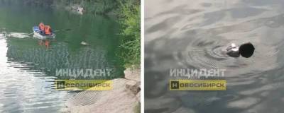 В новосибирском озере Грёз утонул мужчина