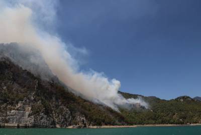 117 из 125 лесных пожаров в Турции полностью потушено или локализовано - министр