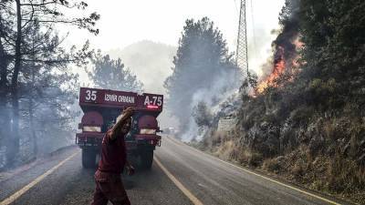 В Бодруме лесные пожары приблизились к местной ТЭЦ