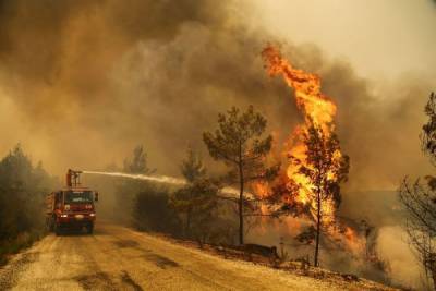 В Турции лесные пожары приблизились к ТЭЦ, обеспечивающей энергией Бодрум и Милас