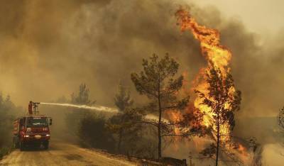 Связанная с курдами организация «Дети огня» взяла на себя ответственность за лесные пожары в Турции