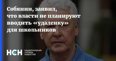 Собянин, заявил, что власти не планируют вводить «удаленку» для школьников