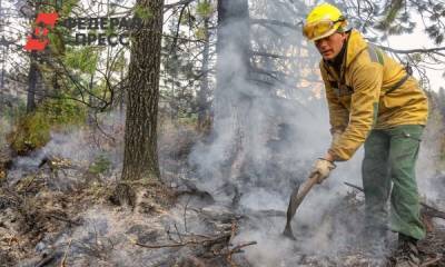 Лесные пожары охватили крупнейший заповедник Приморья
