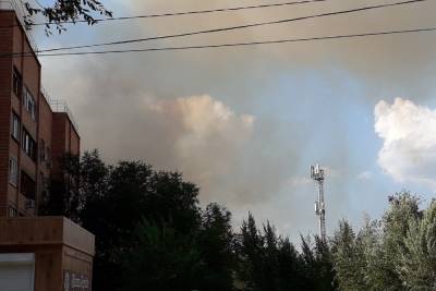 В Оренбурге площадь пожара в Протопоповской роще превысила три гектара
