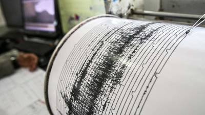 В Румынии зафиксировали землетрясение магнитудой 4,1