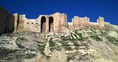 В Сирии приступили к восстановлению исторической цитадели Алеппо - ren.tv - Сирия