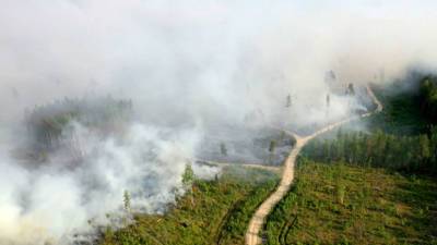 Пожары в Якутии: на помощь спасателям придут дожди
