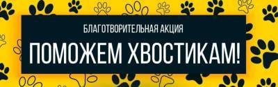Благотворительная акция в помощь животным из приютов пройдет в Красногорске