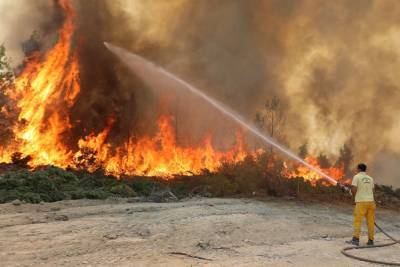 Ответственность за пожары в Турции взяли на себя «Дети огня»