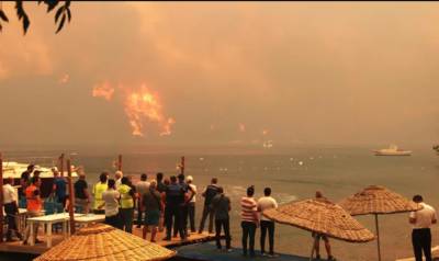 В Турции продолжается борьба с лесными пожарами: 8 человек погибли, более 850 пострадали