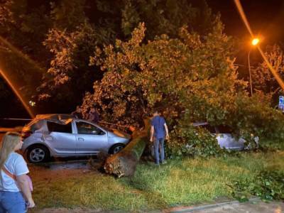 Из-за урагана погибла молодая пара во Львове