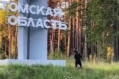 Дикий медведь встречает у дороги въезжающих в Томскую область