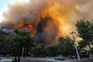 Пожары в Турции: украинские спасатели показали, что происходит. ВИДЕО