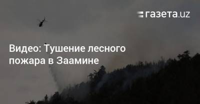 Видео: Тушение лесного пожара в Заамине